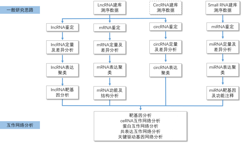 全转录组流程图