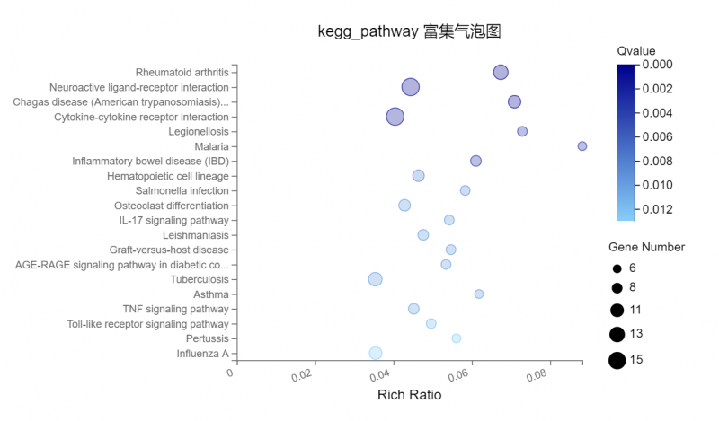 图5 基因富集