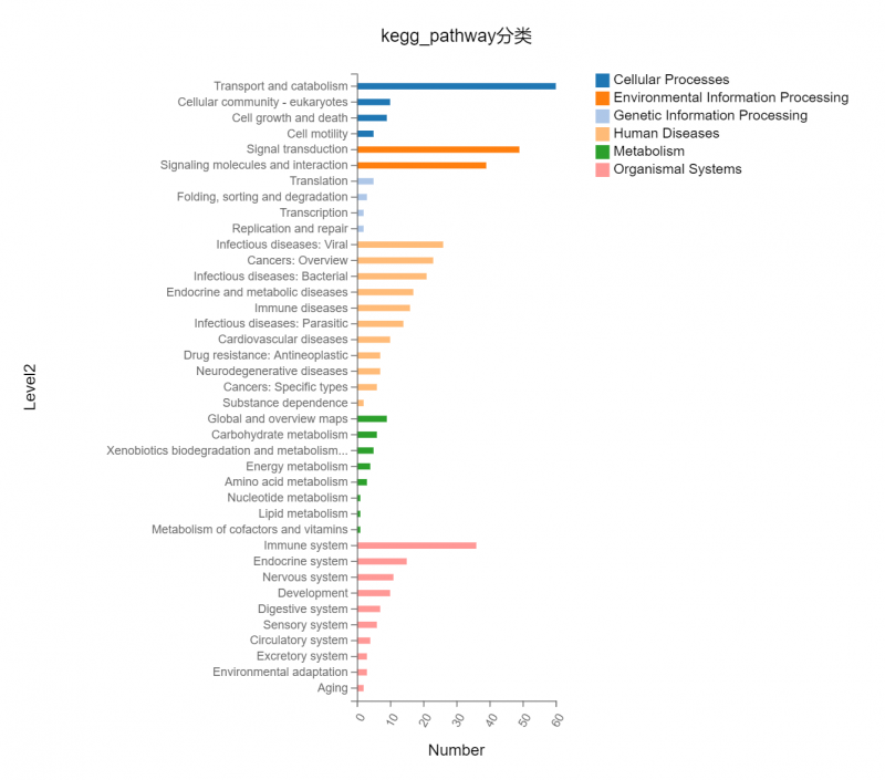 图6 基因分类_2031061100