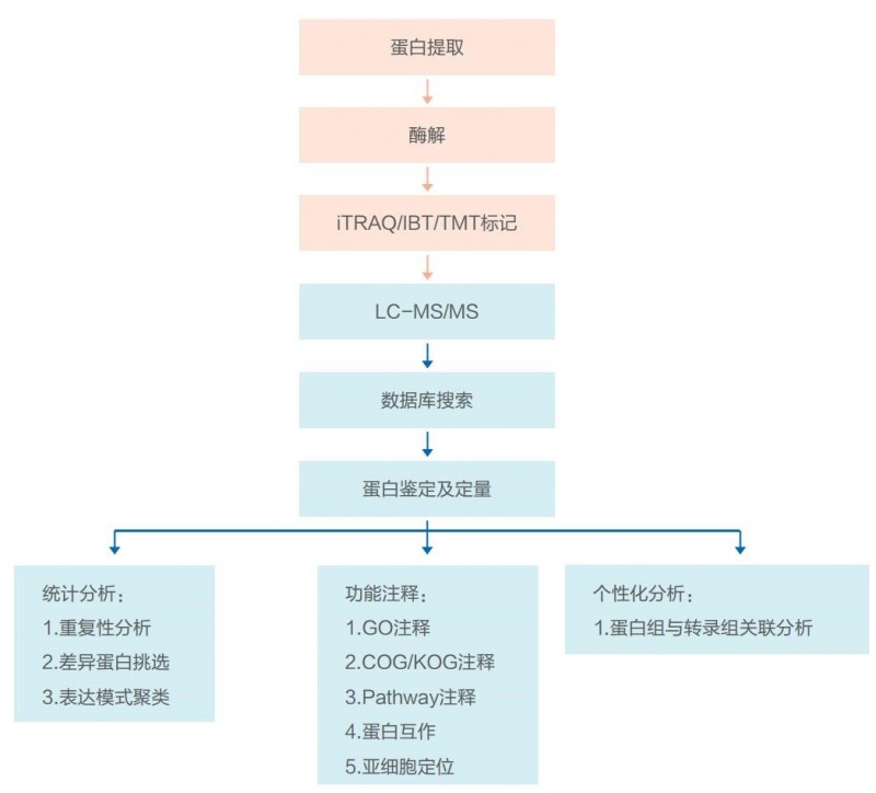 标记定量2