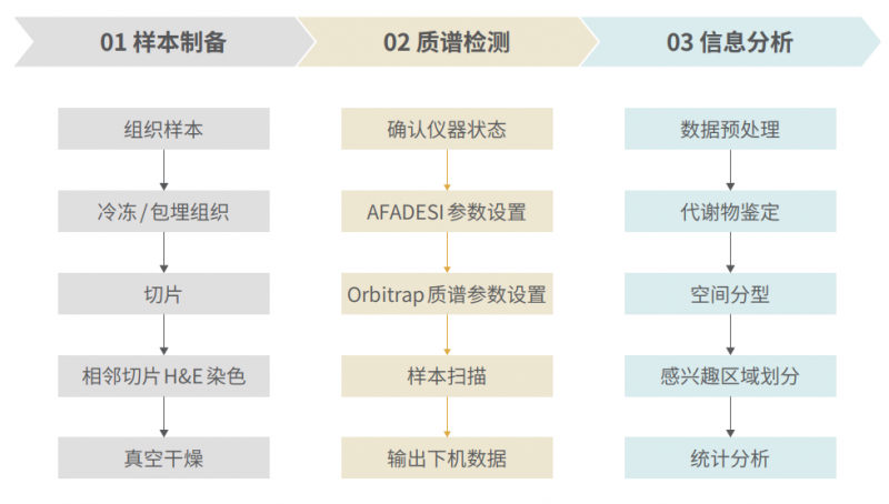 代谢组学1