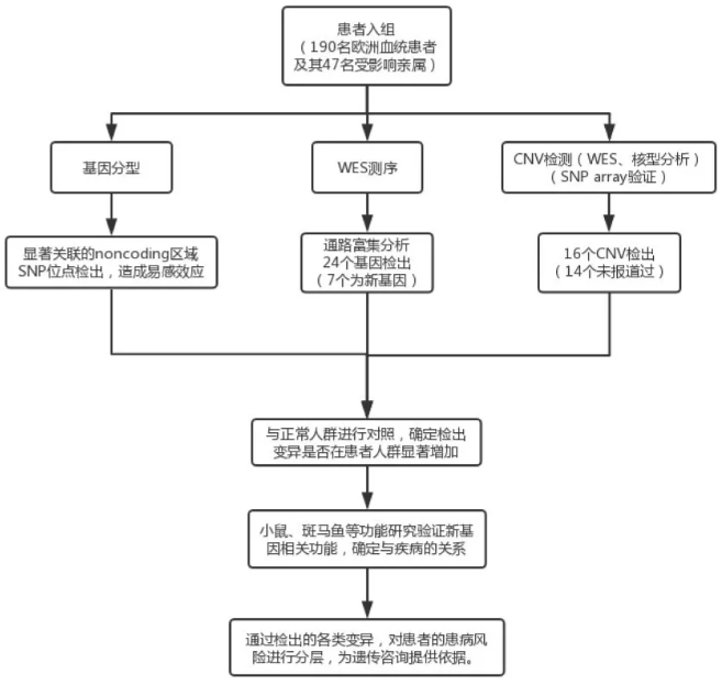 中文网页更新-全外显子组测序-20241015-cyf3100