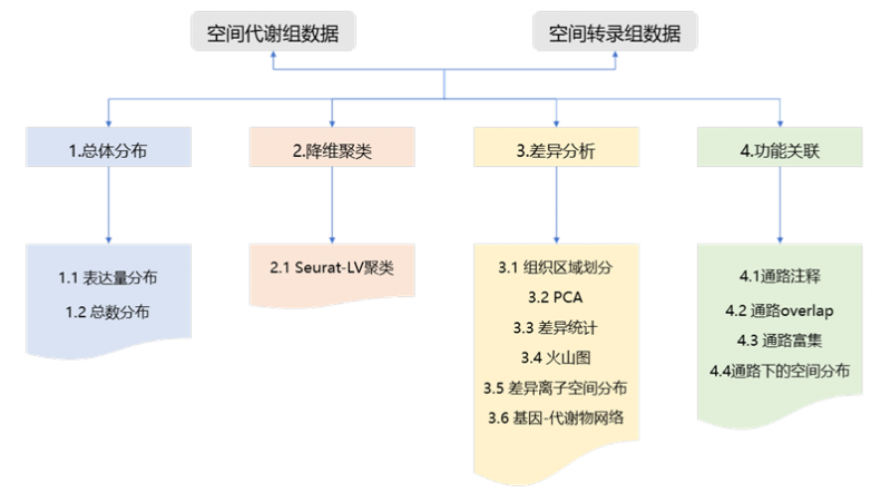 产品介绍1